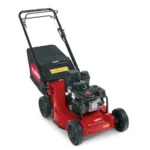 Walk Lawn Mowers